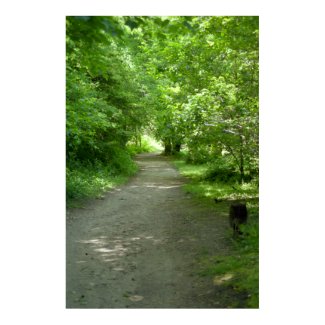 Tunnel of Leaves Poster print
