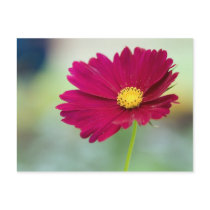 tunnel to red postcards by blacqbook tunnel to red postcards