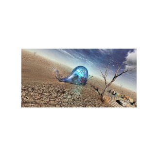 Turbo Snail 01 print
