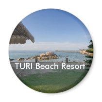 Turi View magnets