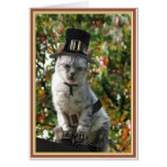 TURKEY AGAIN? Pilgrim Cat Greeting Card