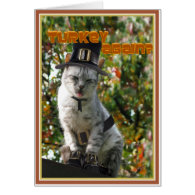 TURKEY AGAIN? Pilgrim Cat Greeting Card