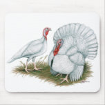 Turkey:  Beltsville Small White mousepads
