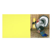 Turkey:  Best In Show photo cards