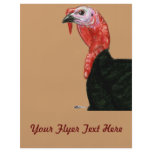Turkey:  Black Tom Head flyers