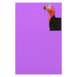 Turkey:  Black Tom Head stationery