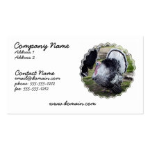 Turkey Business Card