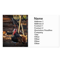 Turkey Business Card Template