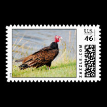 Turkey Buzzard stamps