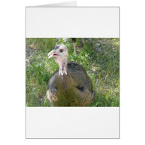 turkey greeting cards