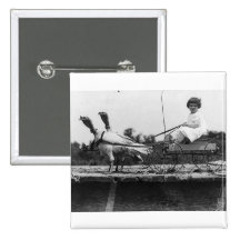 Turkey Carriage Pins