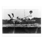 Turkey Carriage Postcard