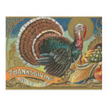 Turkey Cornucopia Thanksgiving Greeting Postcards