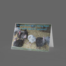 turkey day card cards