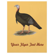 Turkey:  Eastern Wild Tom Flyers
