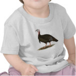 Turkey:  Eastern Wild Tom Shirts
