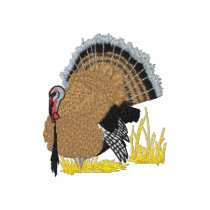 Turkey embroidered shirts