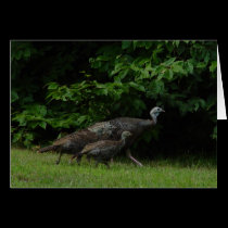 Turkey Family Card