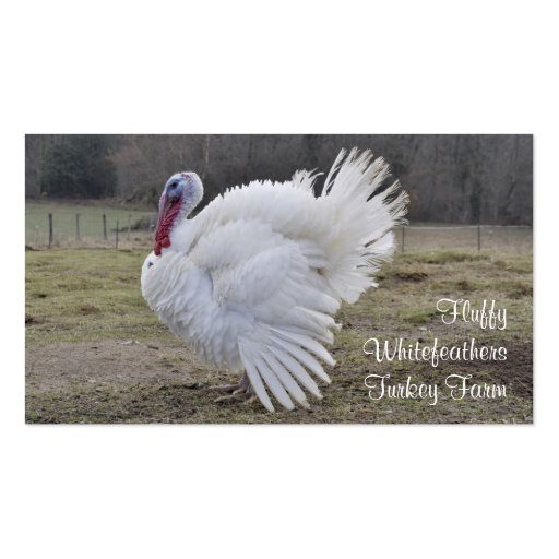 Turkey farm business card (front side)