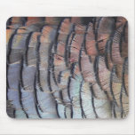 Turkey Feathers Turkey Feathers
