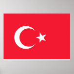 Turkey Flag Print