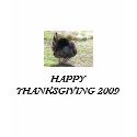 TURKEY, HAPPY THANKSGIVING 2009 t-shirts