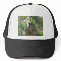 turkey hats