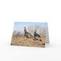Turkey Horizon cards