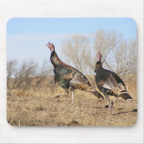 Turkey Horizon mousepads