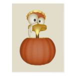 Turkey in a Pumpkin Postcards
