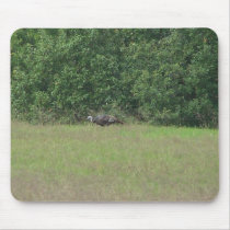 Turkey In The Wild mousepads by SusanParsons Turkey In The Wild mousepads