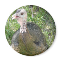 turkey magnet
