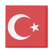 turkey refrigerator magnet