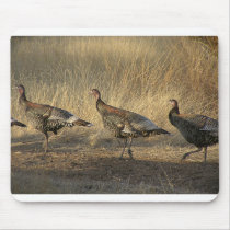 Turkey March At Sunset mousepads