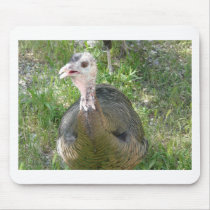turkey mouse mat