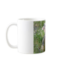 turkey coffee mugs