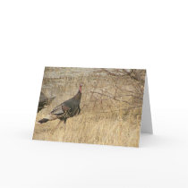 Turkey Near Water cards