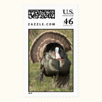 Turkey. postage by Acorns_tree Turkey. postage
