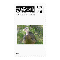 turkey postage stamps