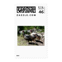 turkey stamps