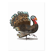 Turkey Postcards