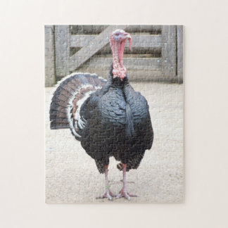 Turkey Jigsaw Puzzles | Zazzle