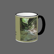 Turkey Run Mug mugs