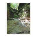 Turkey Run Postcard