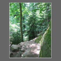 Turkey Run Trail Postcard postcards