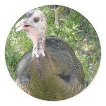 turkey stickers