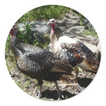 turkey round sticker
