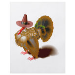 Turkey Swag flyers