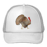 TURKEY Thanksgiving 2009 Mesh Hat