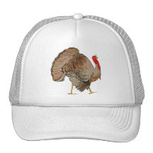 TURKEY Thanksgiving 2009 Mesh Hat